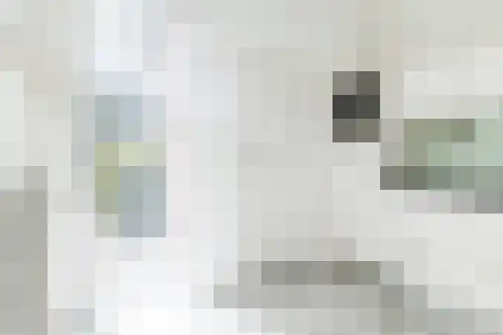 Putstraat 26 Eckelrade thumbnail 8