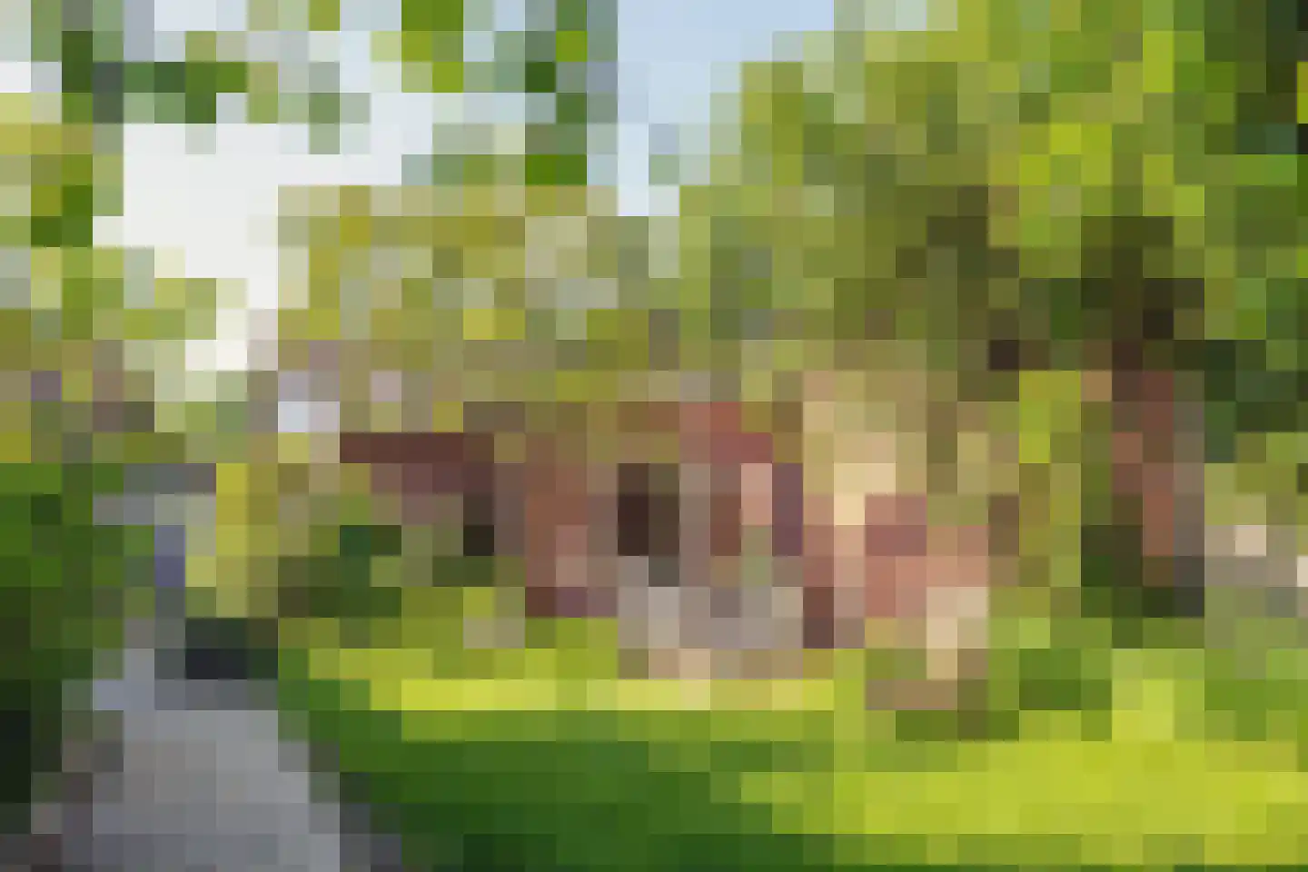 Putstraat 28 Eygelshoven thumbnail 19
