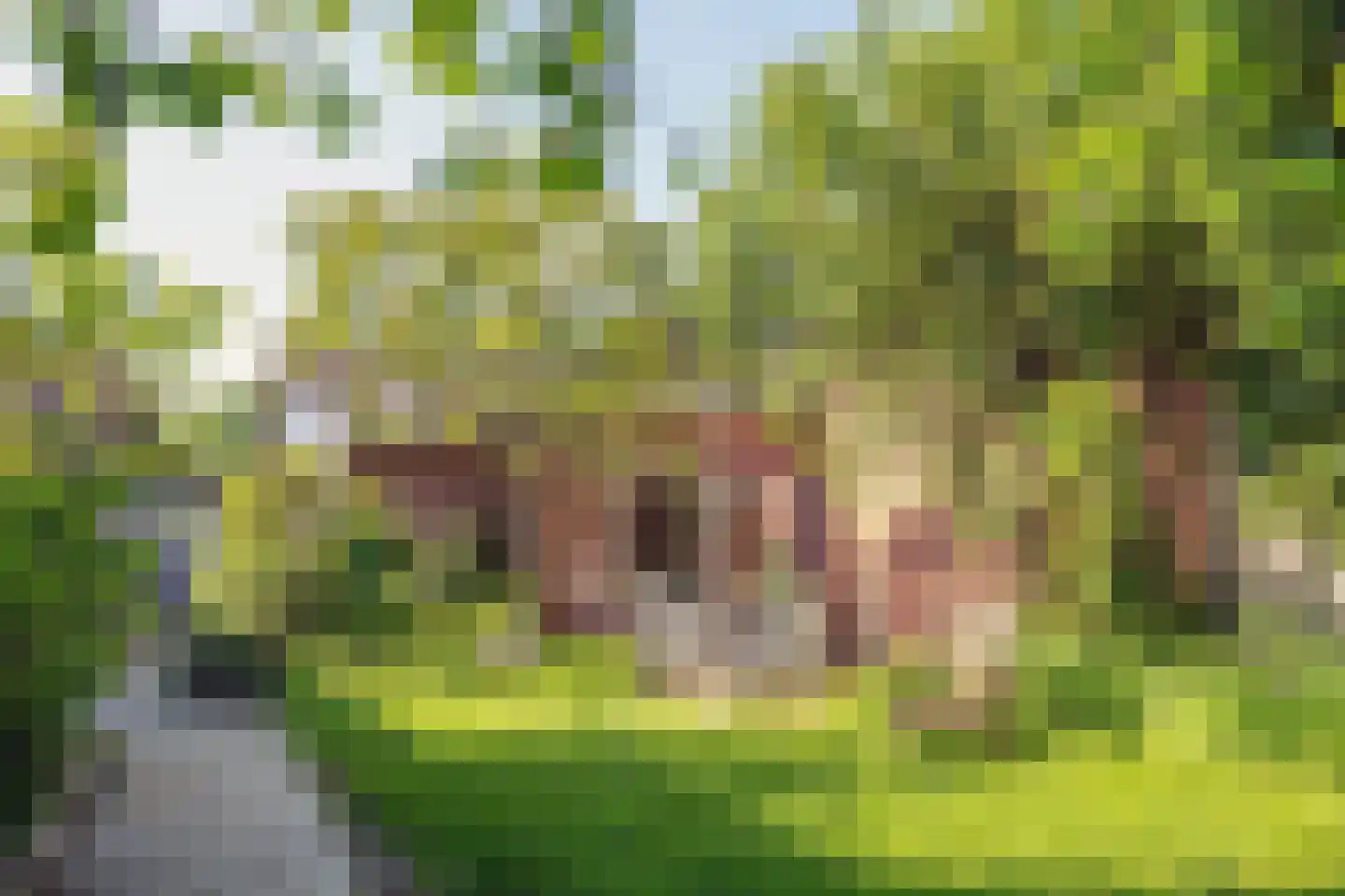 Putstraat 28 Eygelshoven thumbnail 19
