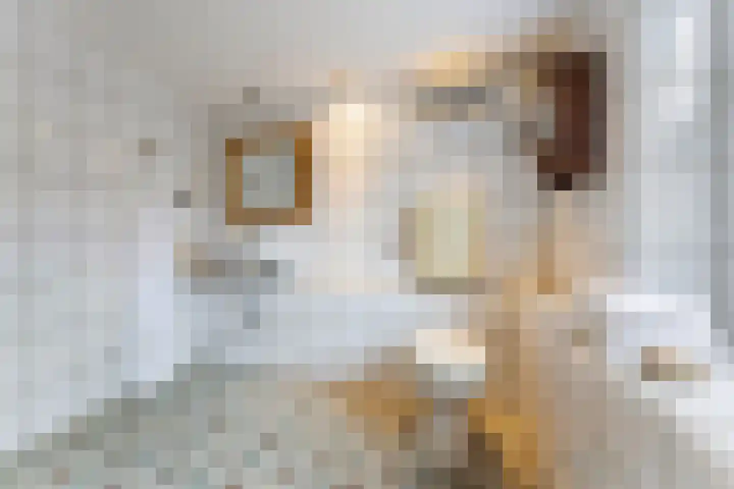 Putstraat 28 Eygelshoven thumbnail 29