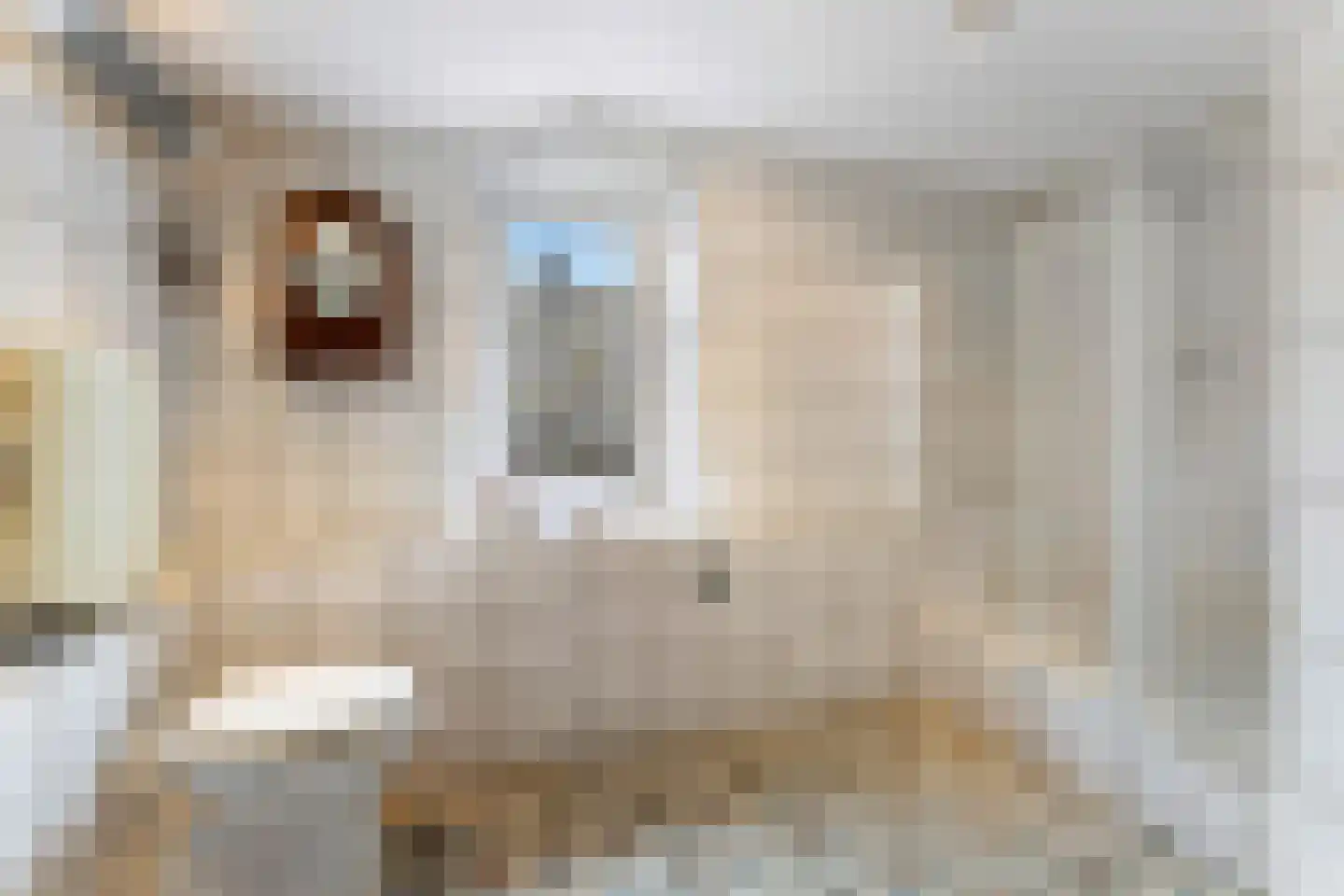 Putstraat 28 Eygelshoven thumbnail 30