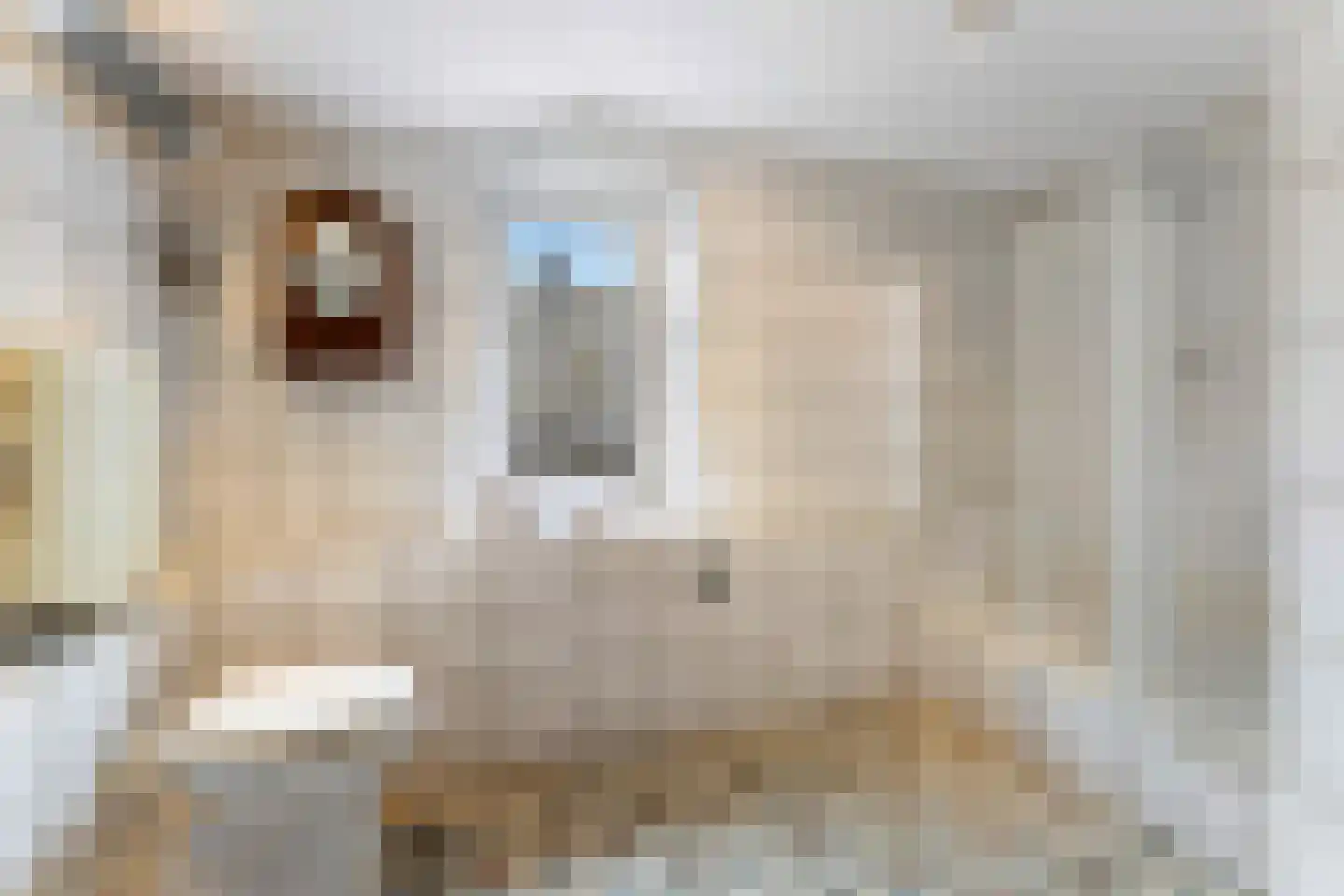 Putstraat 28 Eygelshoven thumbnail 30