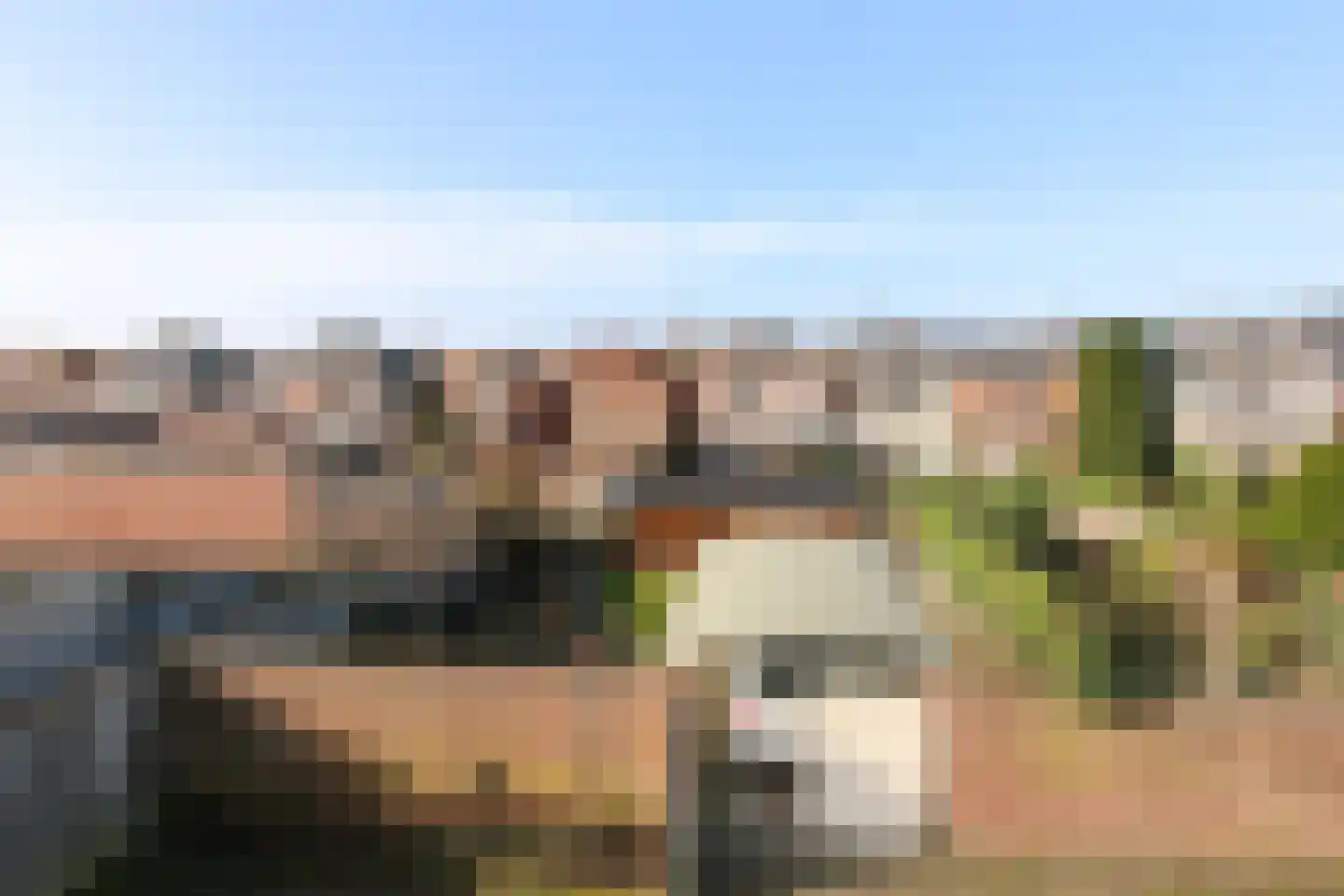 Putstraat 29 Waalwijk thumbnail 22