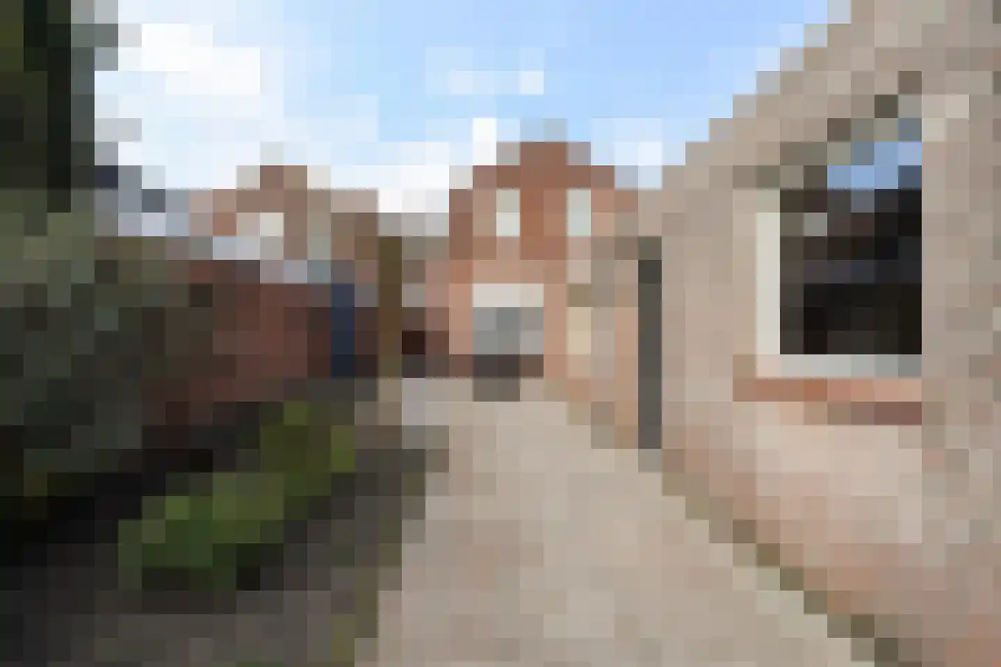 Putstraat 29 Waalwijk thumbnail 23