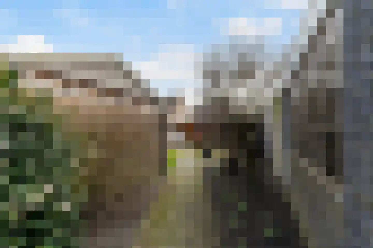 Putstraat 29 Waalwijk thumbnail 26