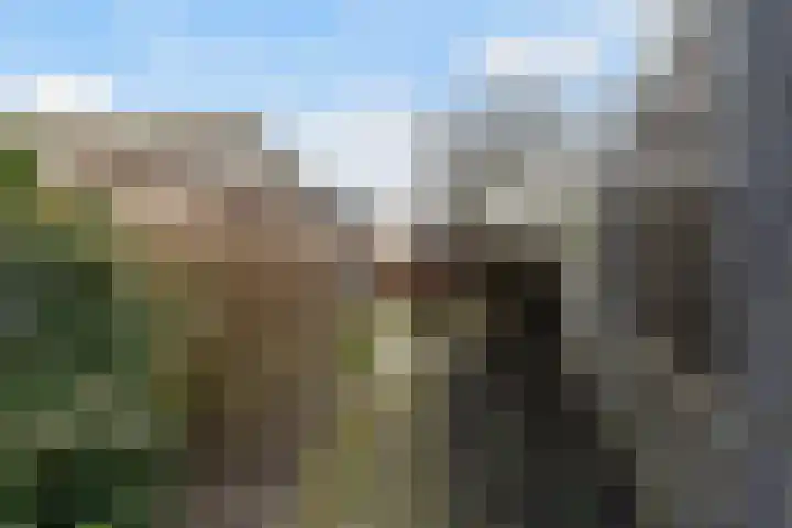 Putstraat 29 Waalwijk thumbnail 26