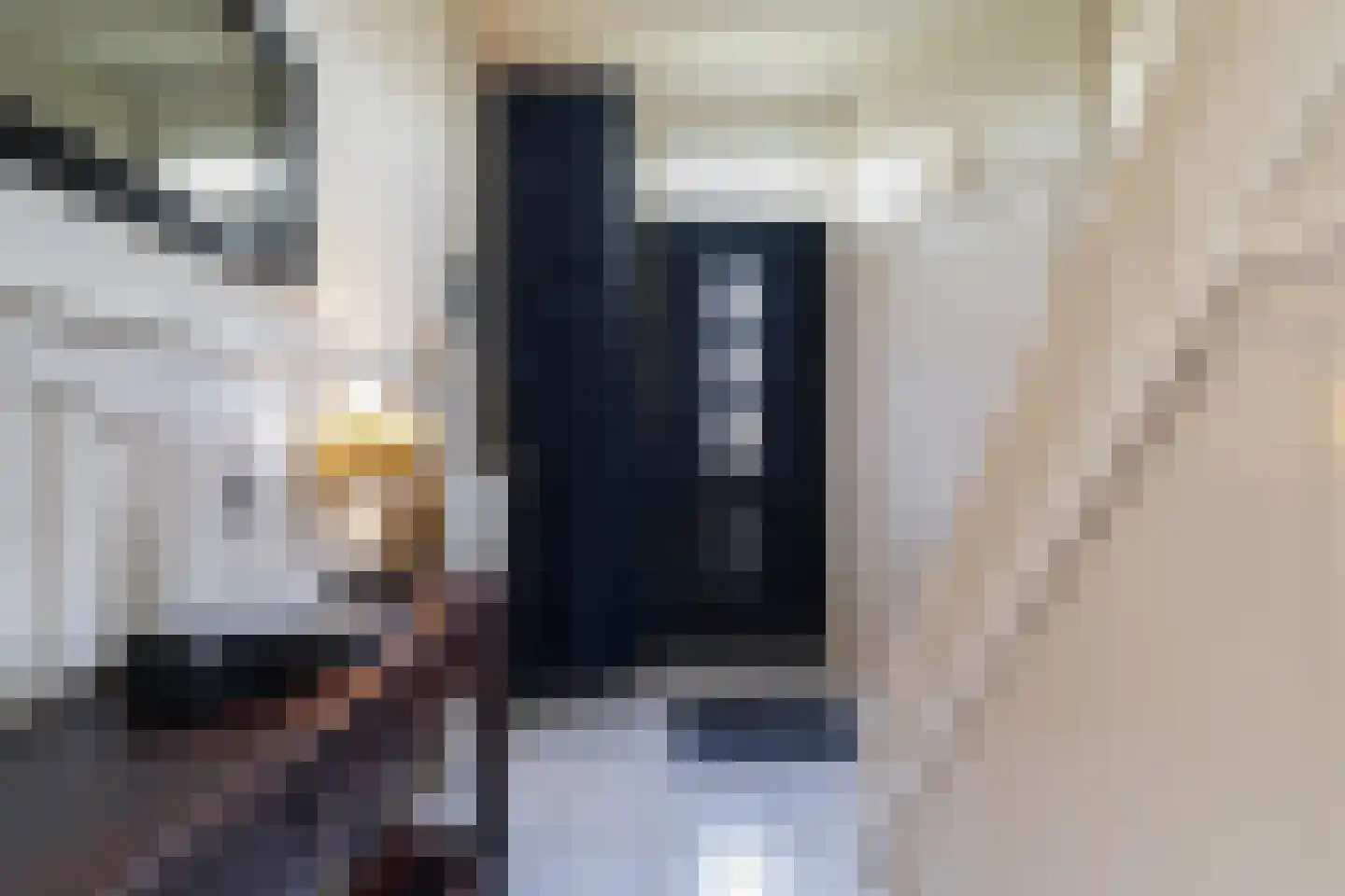 Putstraat 29 Waalwijk thumbnail 4