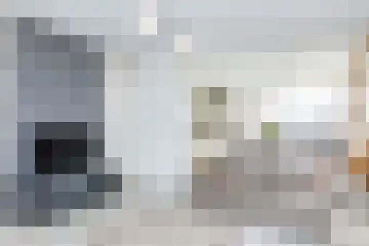 Putstraat 34 Eckelrade thumbnail 8