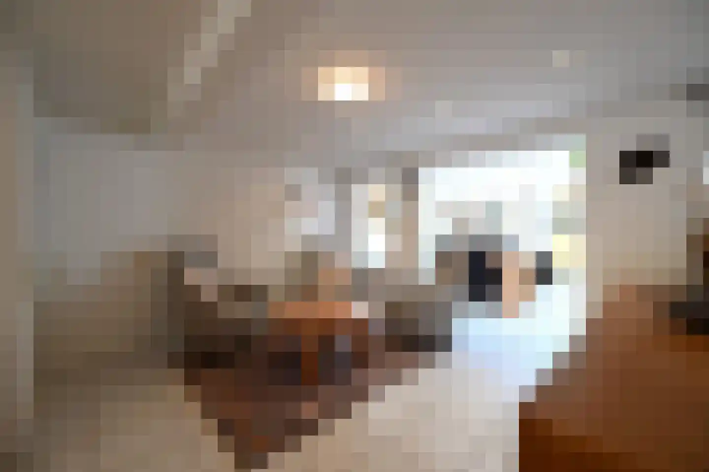 Putstraat 35 Sittard thumbnail 11
