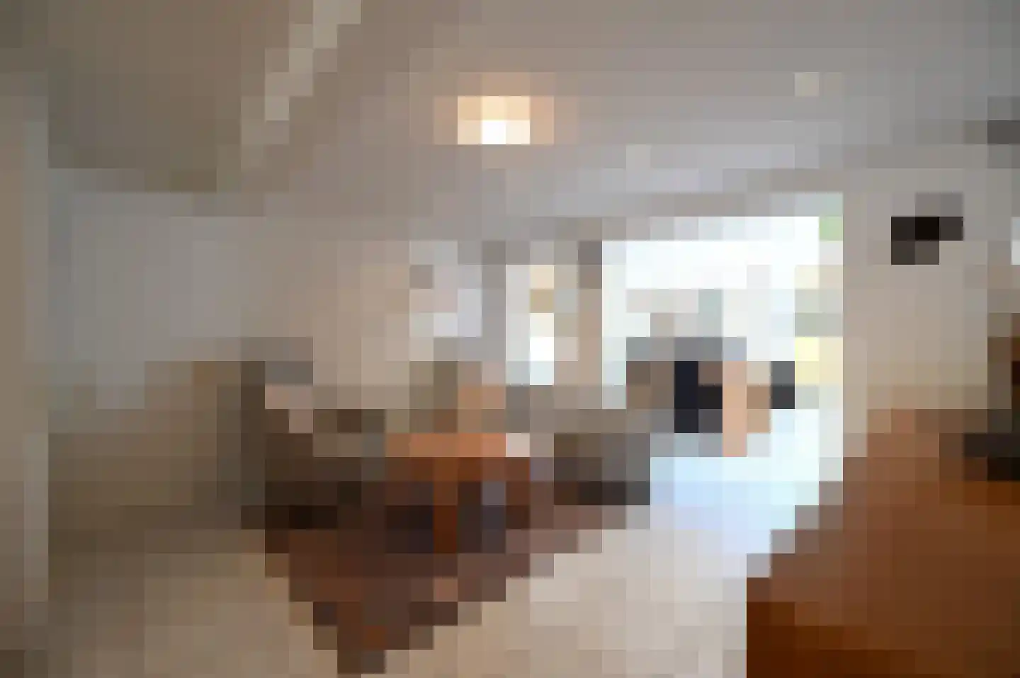 Putstraat 35 Sittard thumbnail 9