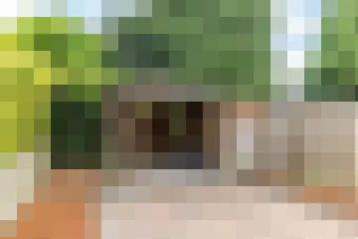 Putstraat 5 Oirsbeek thumbnail 39