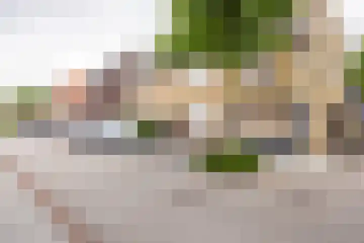 Putstraat 6 Oirsbeek thumbnail 4