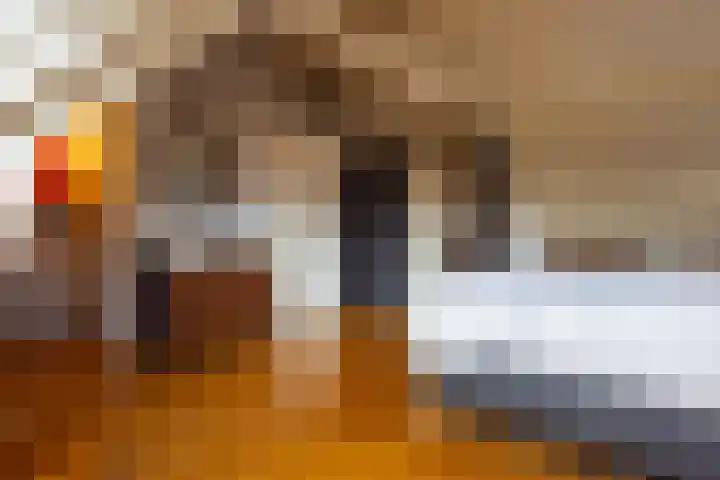 Putstraat 6 Oirsbeek thumbnail 40