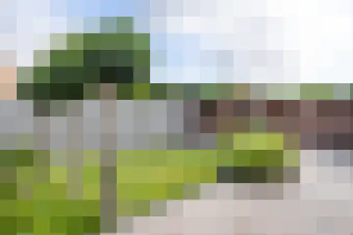 Putstraat 6 Oirsbeek thumbnail 45