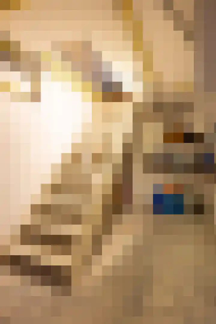 Putstraat 6 Oirsbeek thumbnail 9