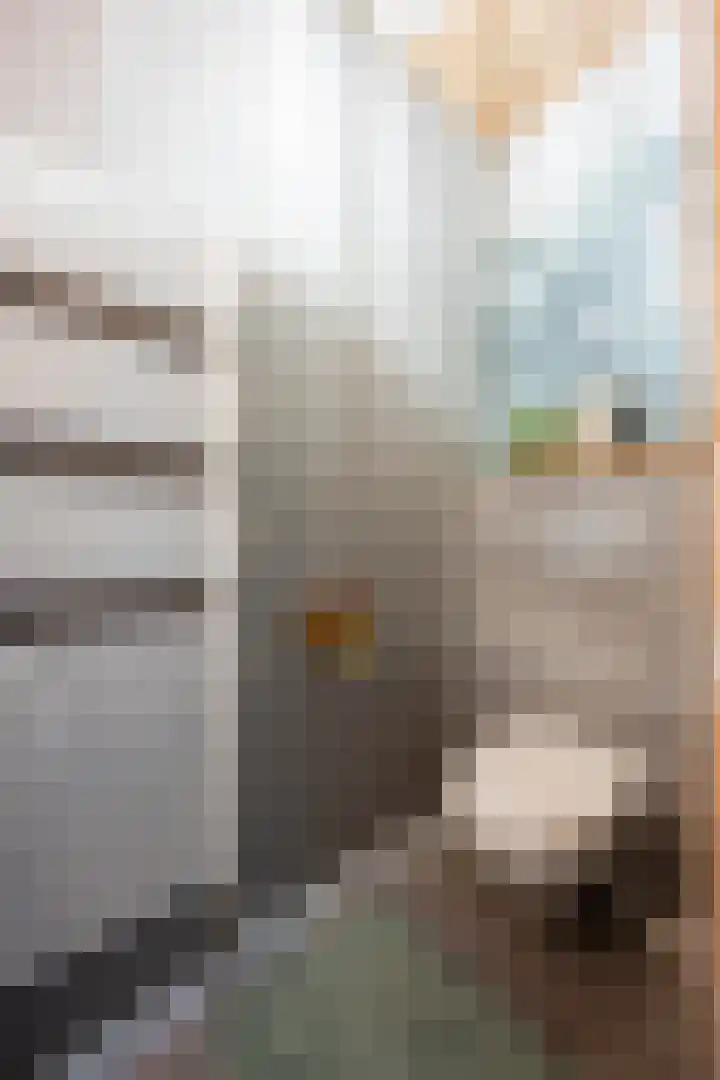 Putstraat 61 Waalwijk thumbnail 19