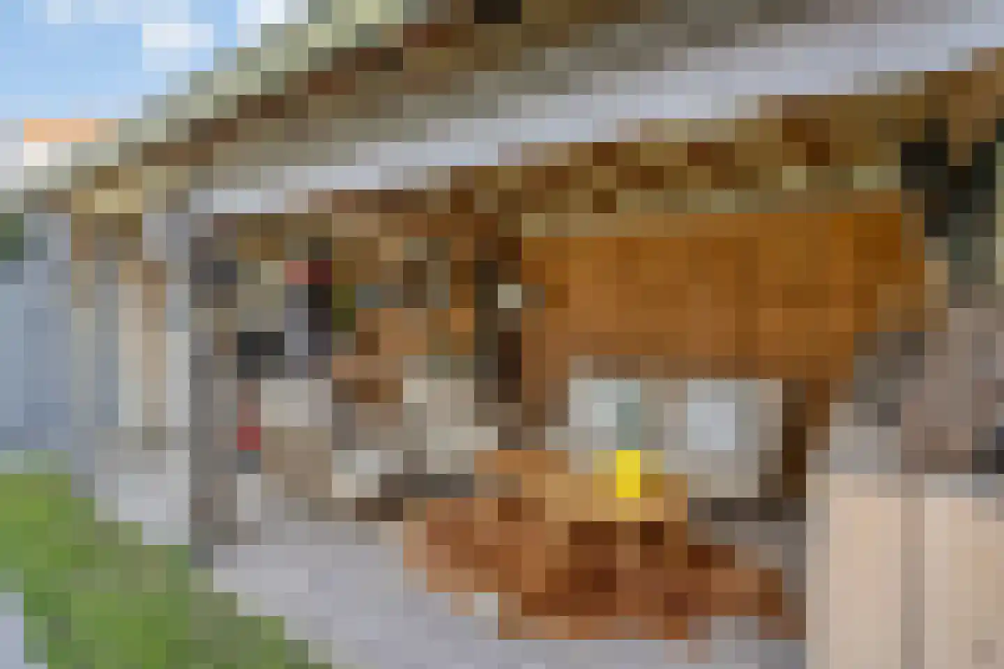 Putstraat 7 Eijsden thumbnail 33