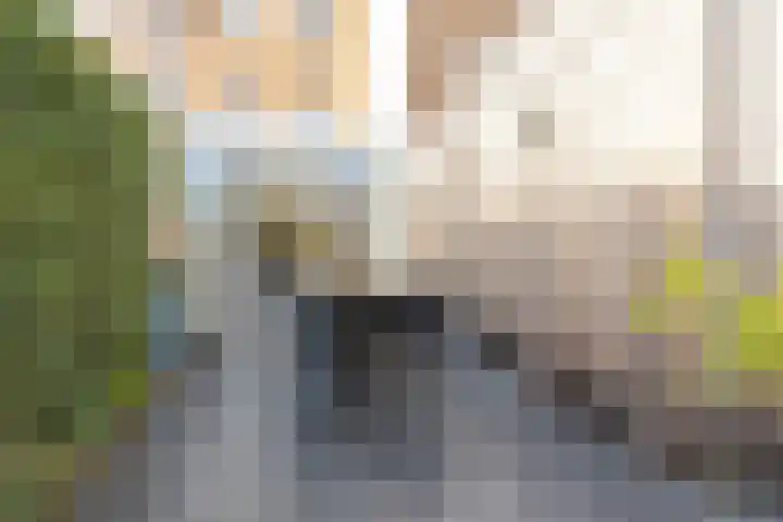 Putstraat 74 Sittard thumbnail 24