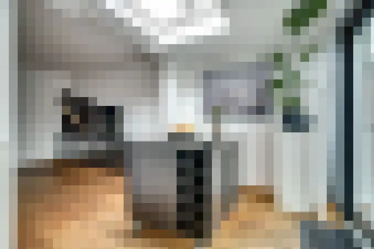 Putstraat 76 Waalwijk thumbnail 11