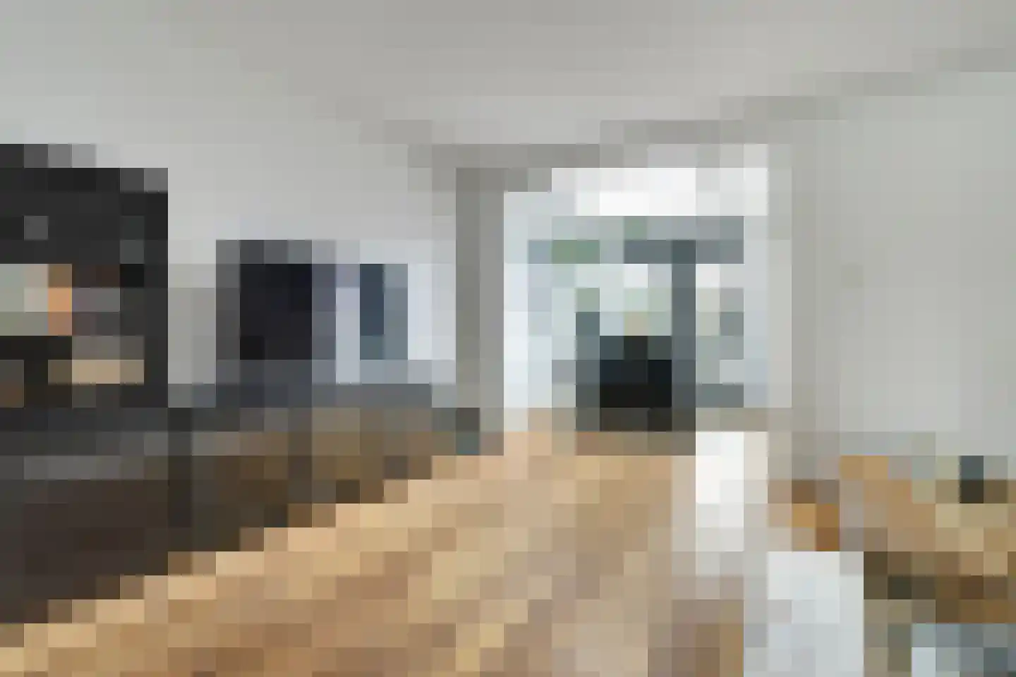 Putstraat 76 Waalwijk thumbnail 8