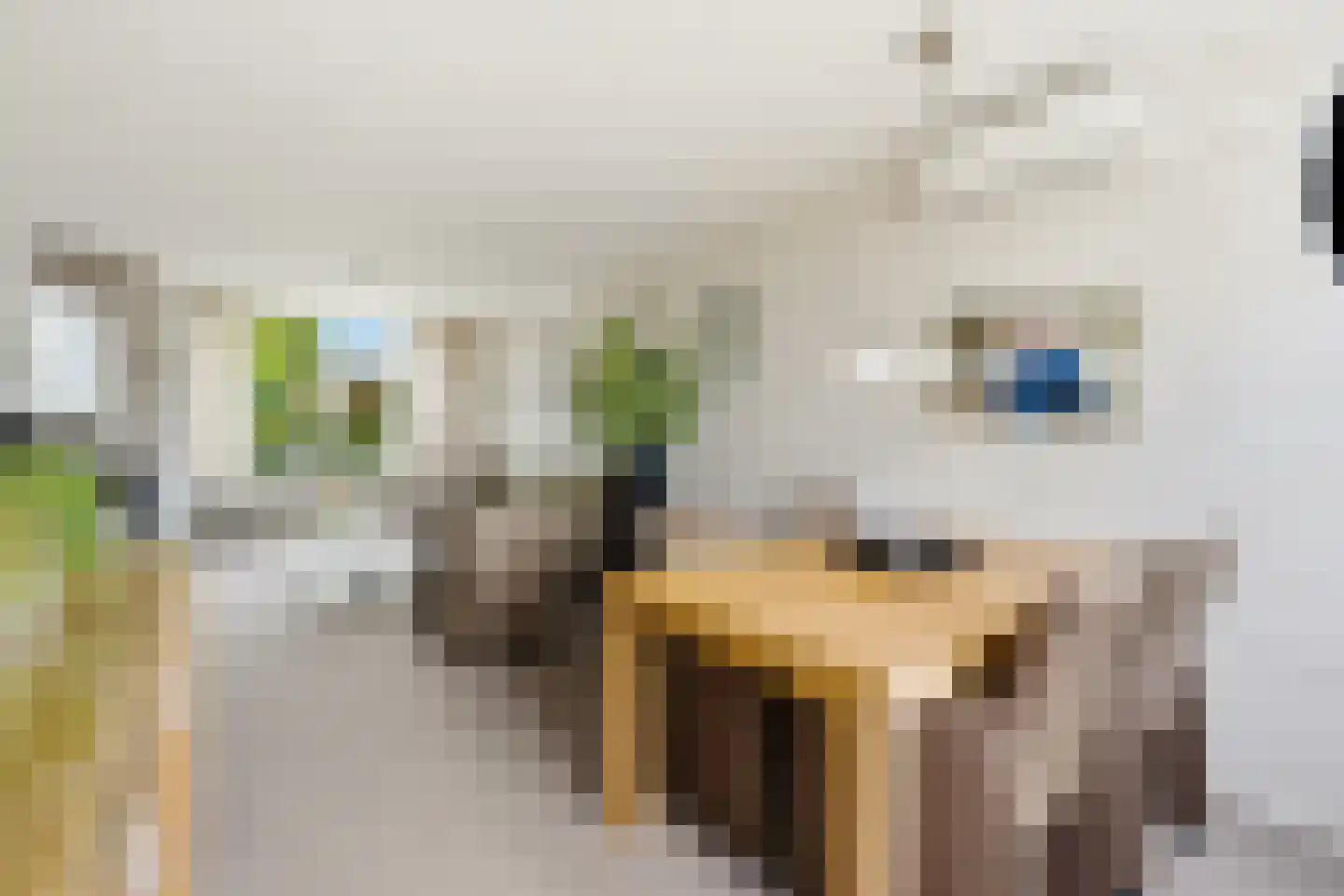 Putstraat 8 Streefkerk thumbnail 12