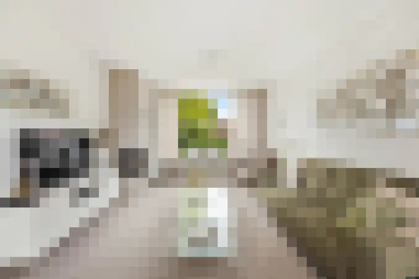 Putstraat 8 Streefkerk thumbnail 5