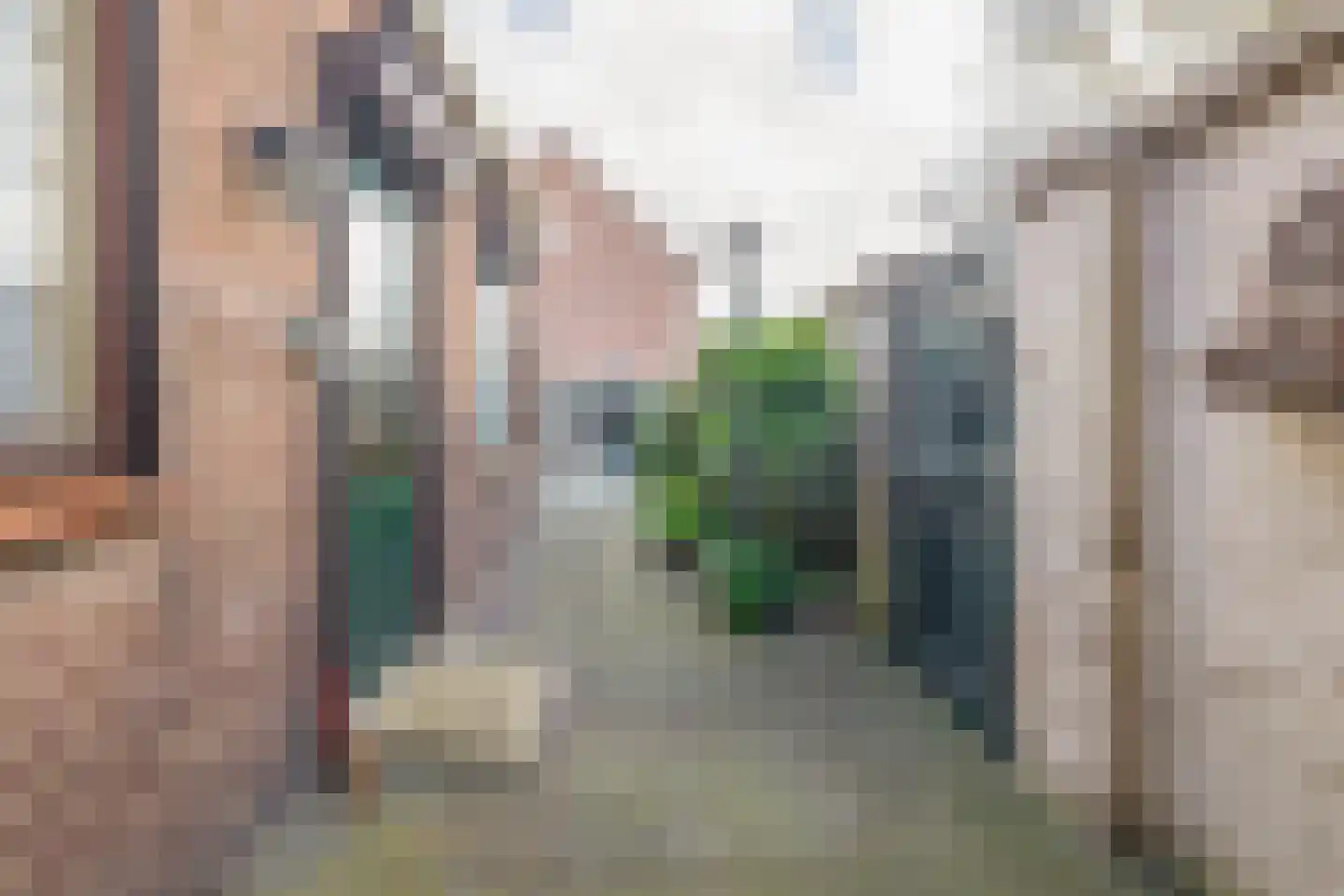 Putstraat 93 Waalwijk thumbnail 21