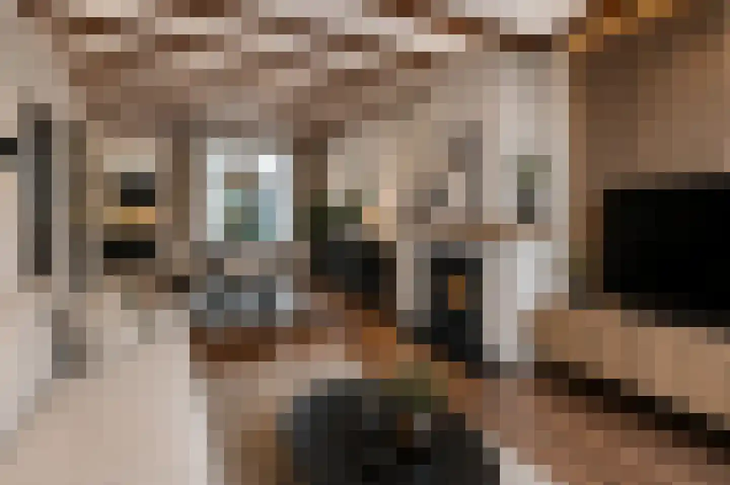 Putstraat 93 Waalwijk thumbnail 6