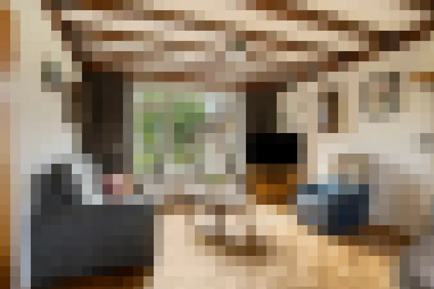 Puttelaar 32 Zeeland thumbnail 11