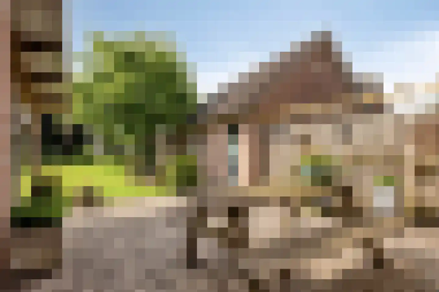 Puttelaar 32 Zeeland thumbnail 25