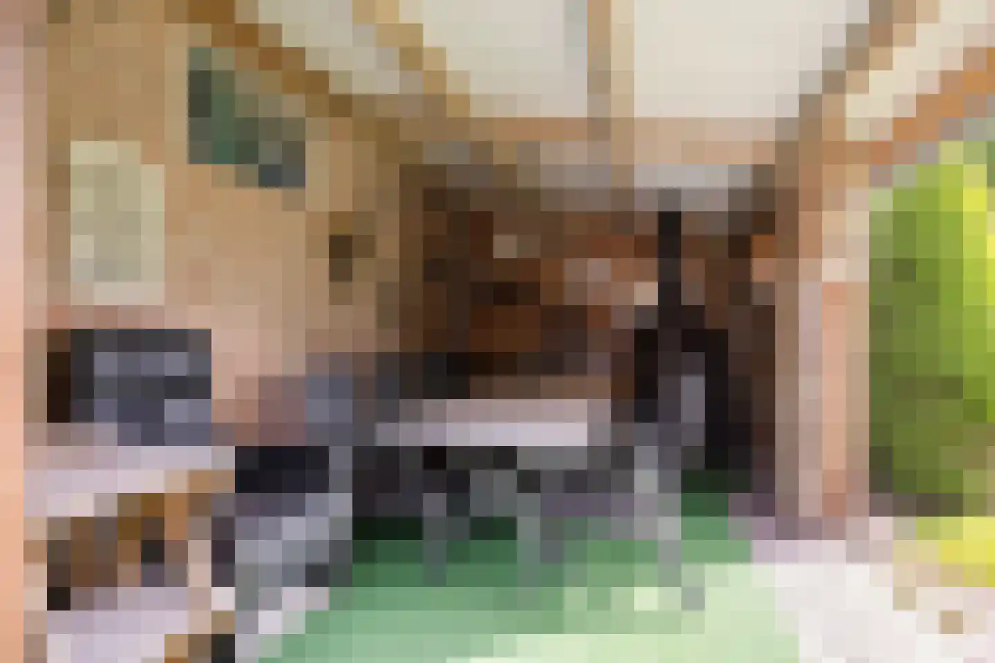Puttelaar 32 Zeeland thumbnail 27