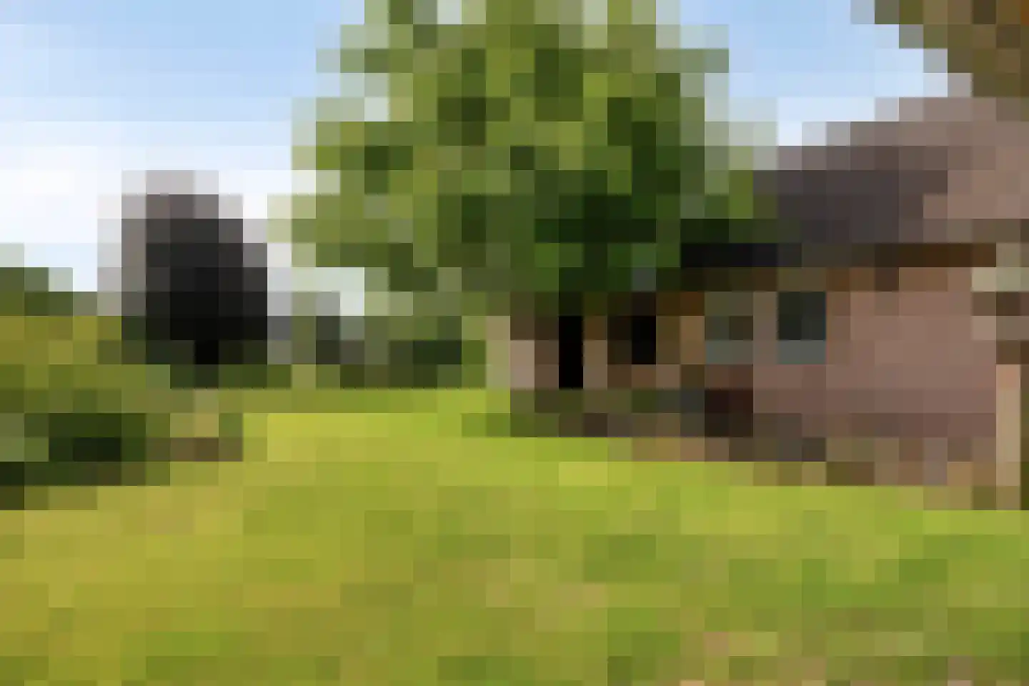 Puttelaar 32 Zeeland thumbnail 28