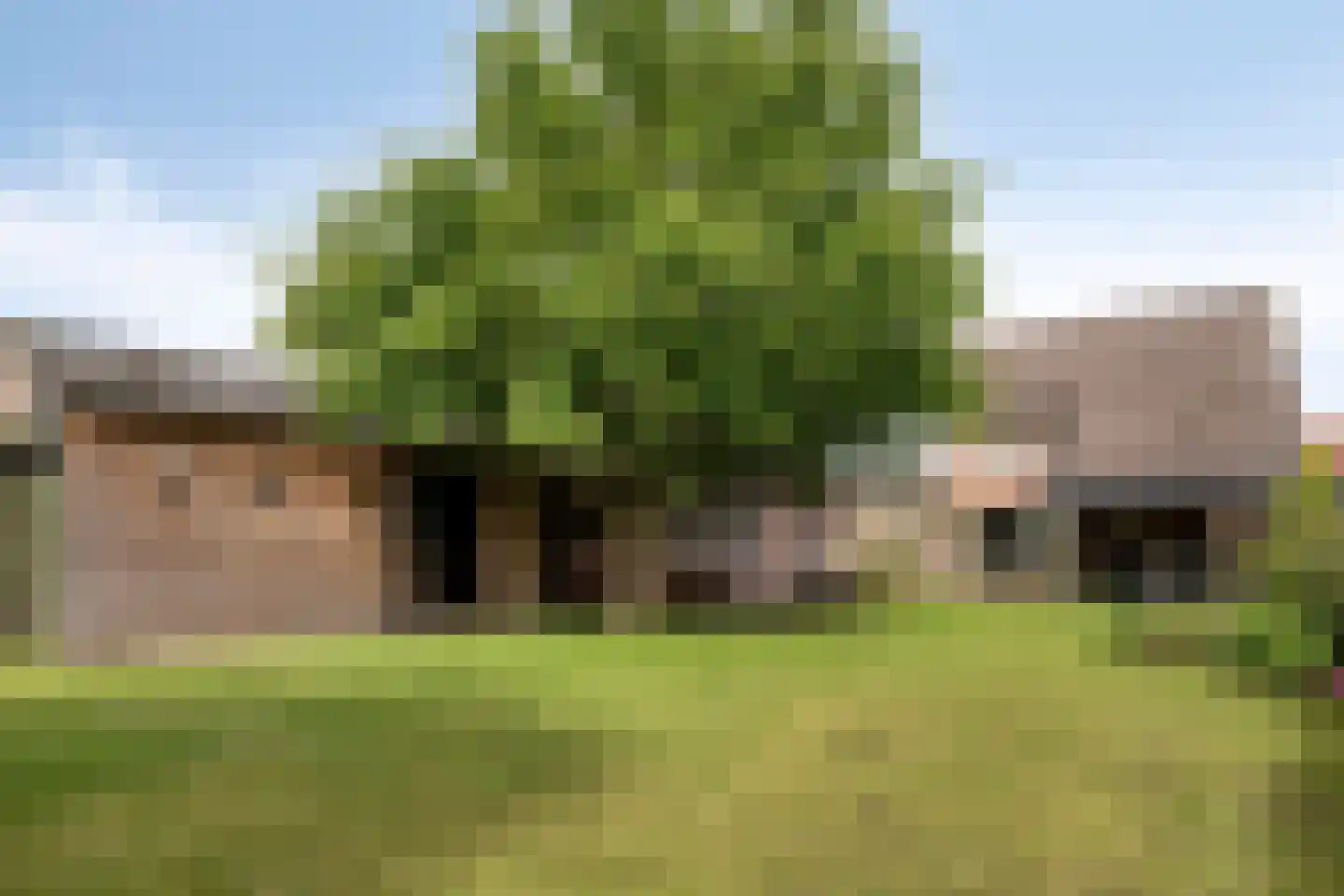 Puttelaar 32 Zeeland thumbnail 29