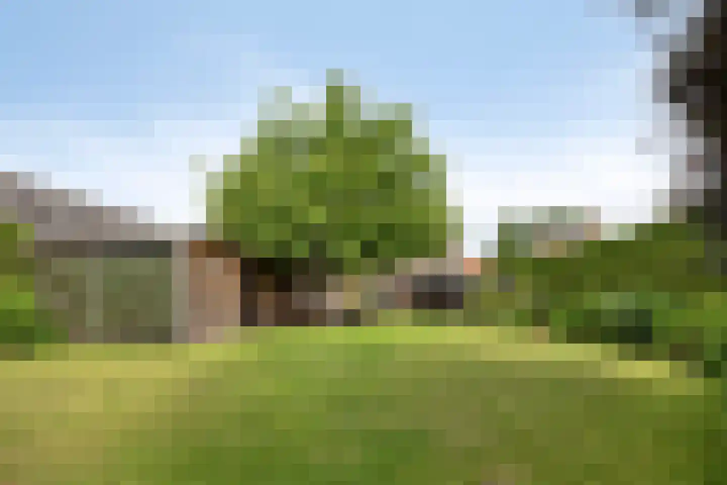Puttelaar 32 Zeeland thumbnail 30