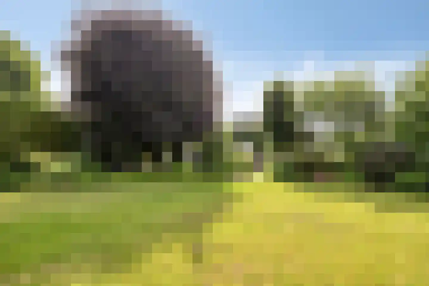 Puttelaar 32 Zeeland thumbnail 31