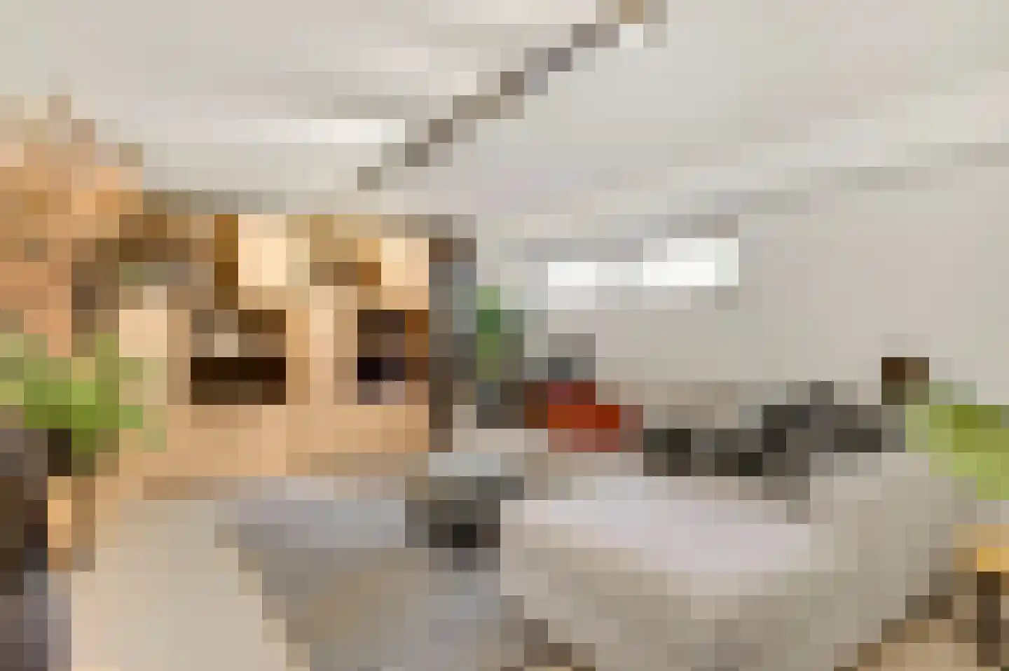Puttendijk 28 Maarheeze thumbnail 17