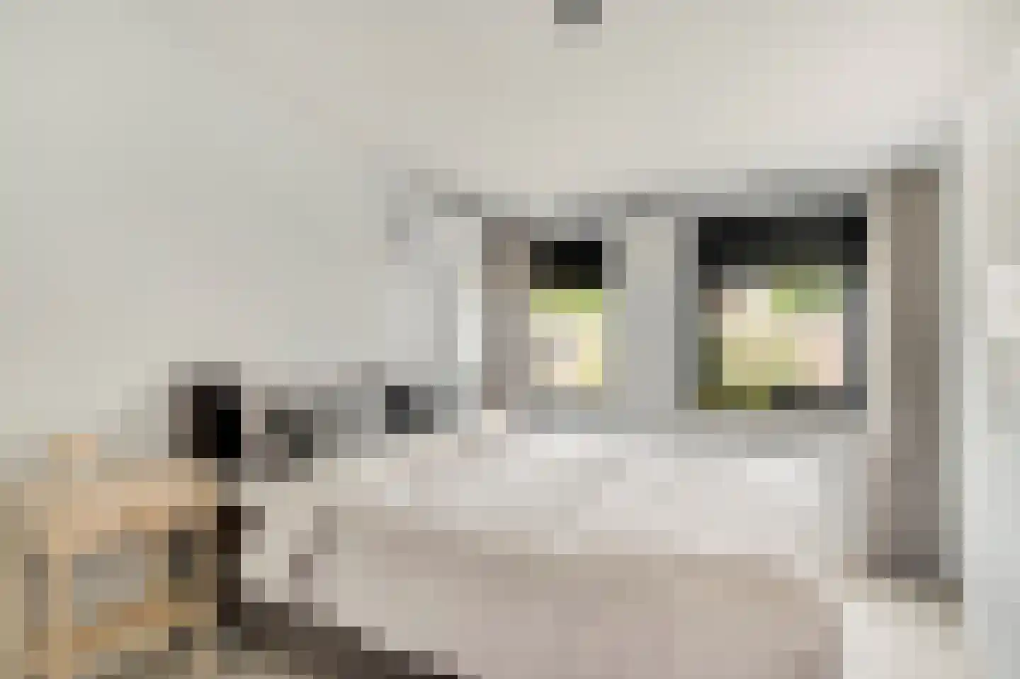 Puttendijk 28 Maarheeze thumbnail 33