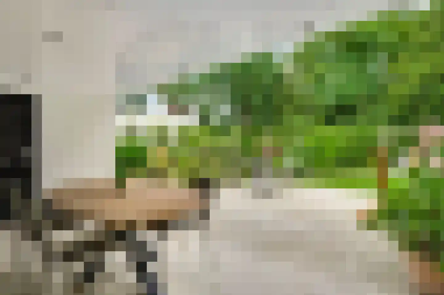 Puttendijk 28 Maarheeze thumbnail 38