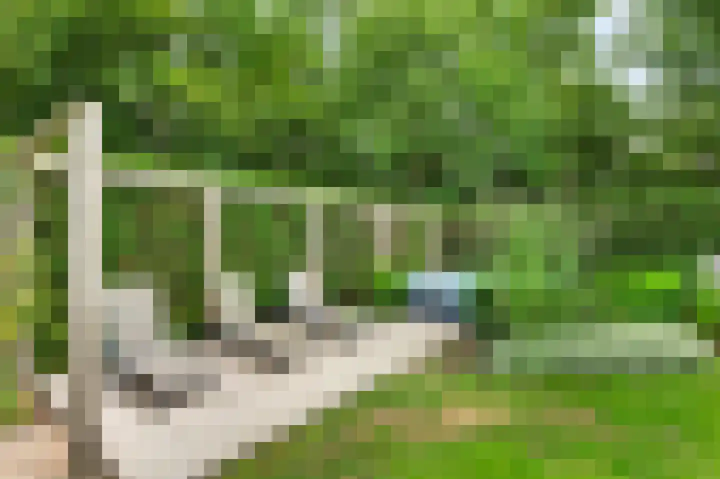 Puttendijk 28 Maarheeze thumbnail 40