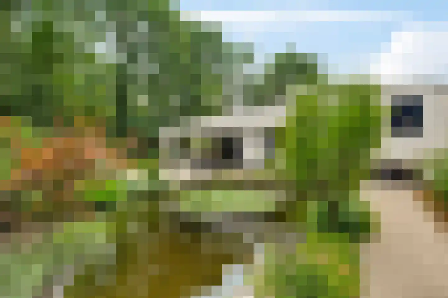 Puttendijk 28 Maarheeze thumbnail 45