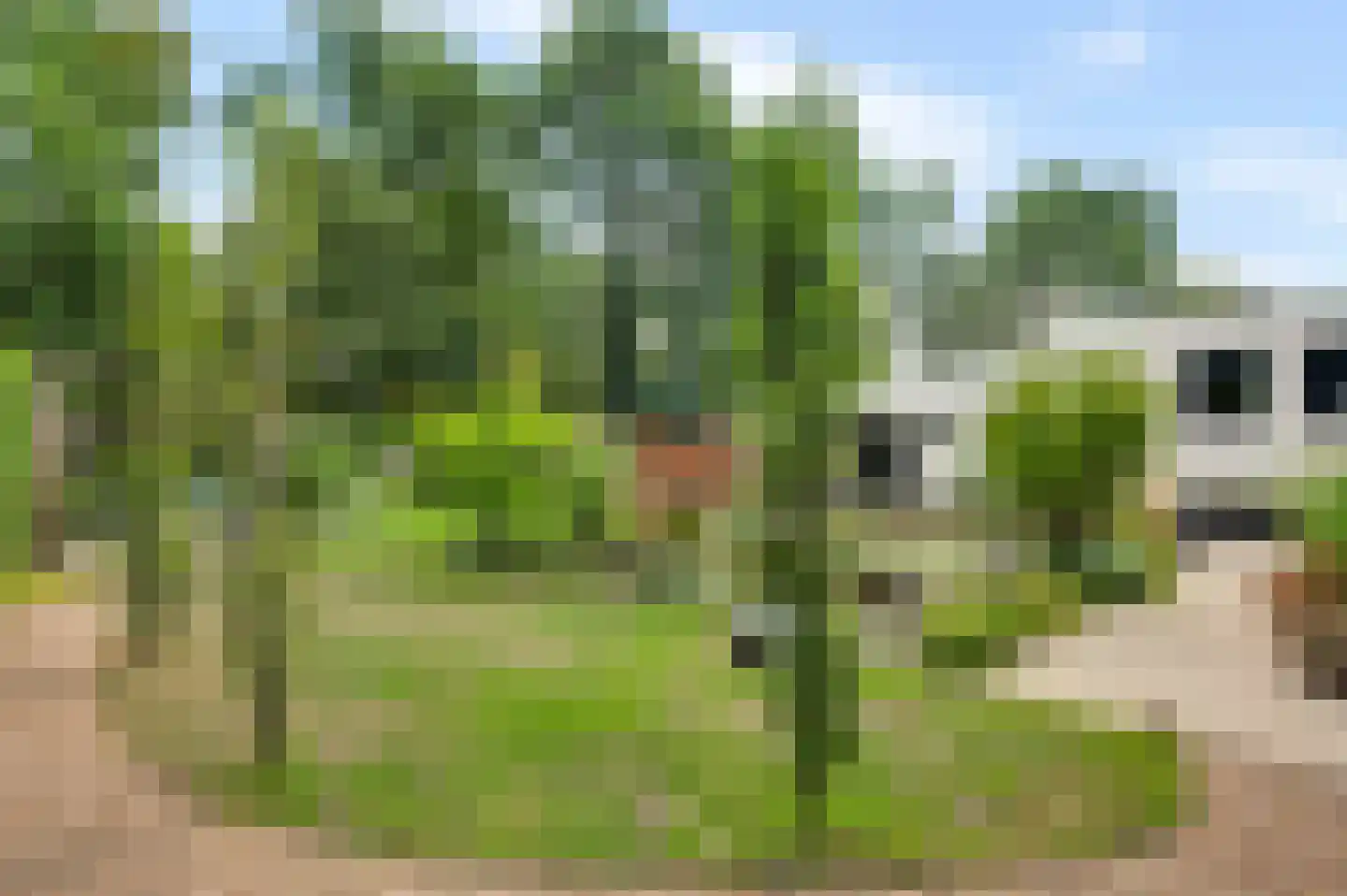 Puttendijk 28 Maarheeze thumbnail 46