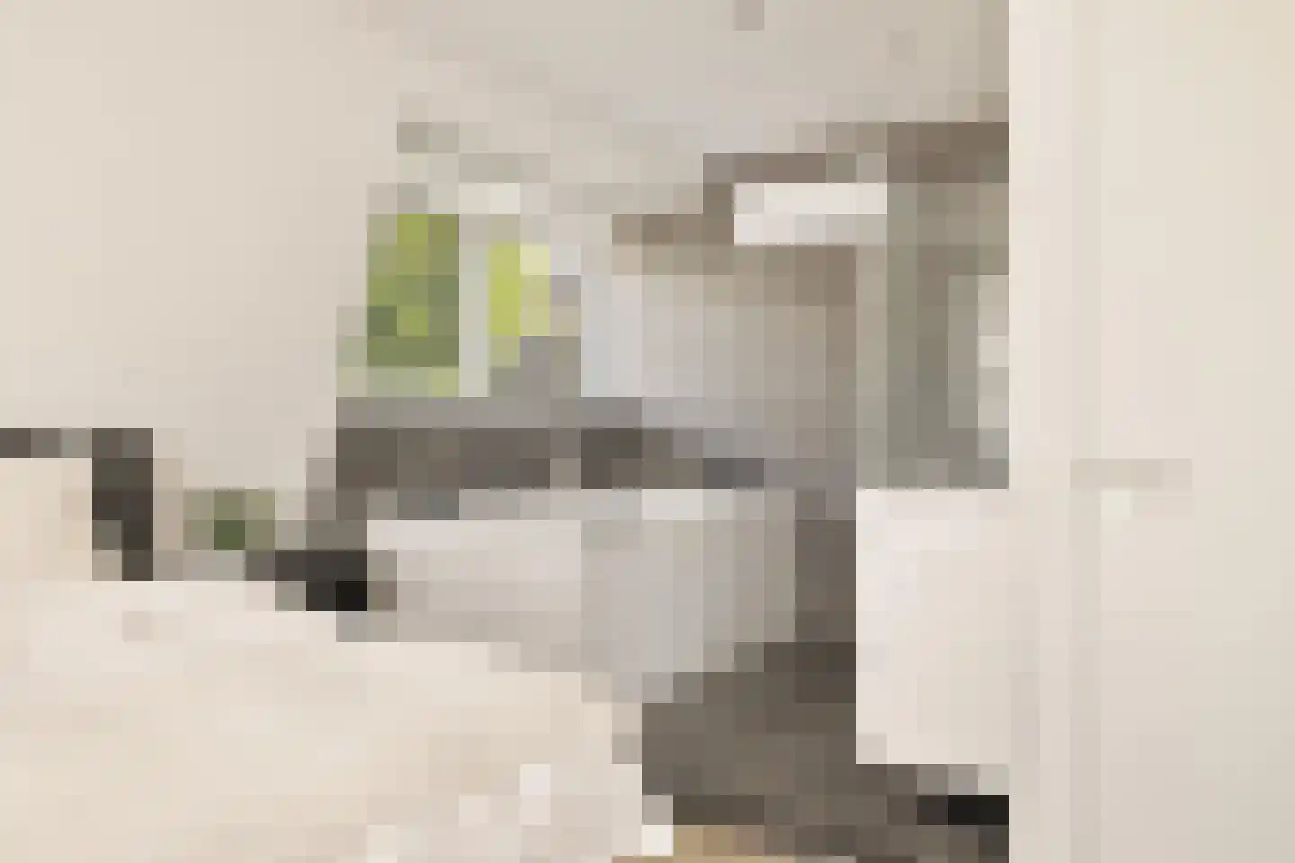Puttensestraat 18 Amstelveen thumbnail 39