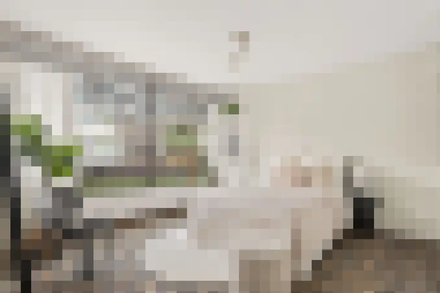 Puttensestraat 4 Amstelveen thumbnail 20