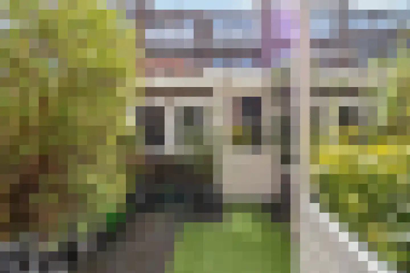 Puttensestraat 46 Den Haag thumbnail 14