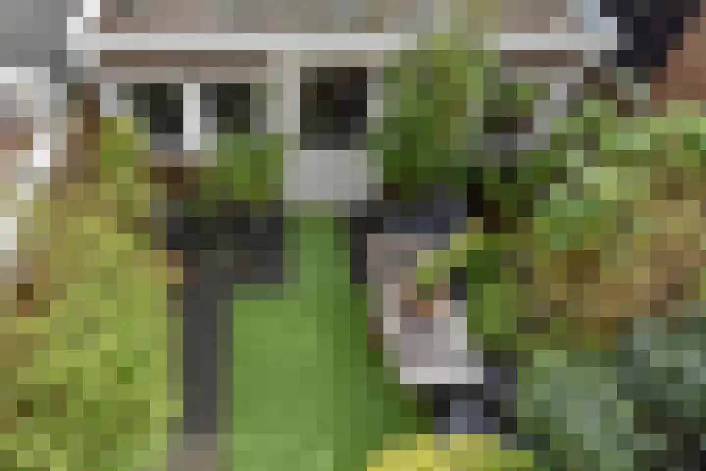 Puttensestraat 46 Den Haag thumbnail 4