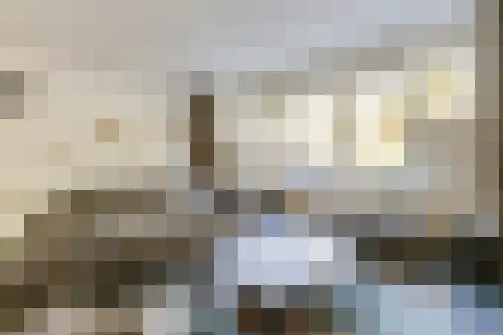 Puttenstein 26 Dordrecht thumbnail 12