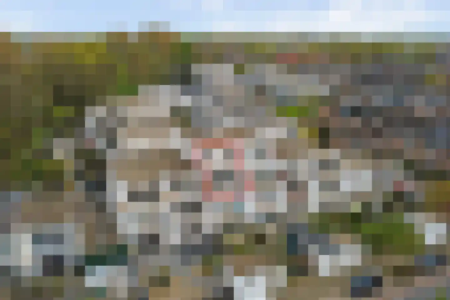 Puttenstein 36 Dordrecht thumbnail 9