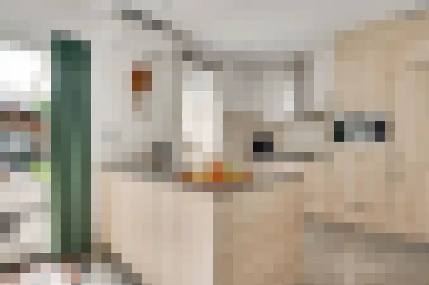 Puttenstraat 7 Maarheeze thumbnail 15