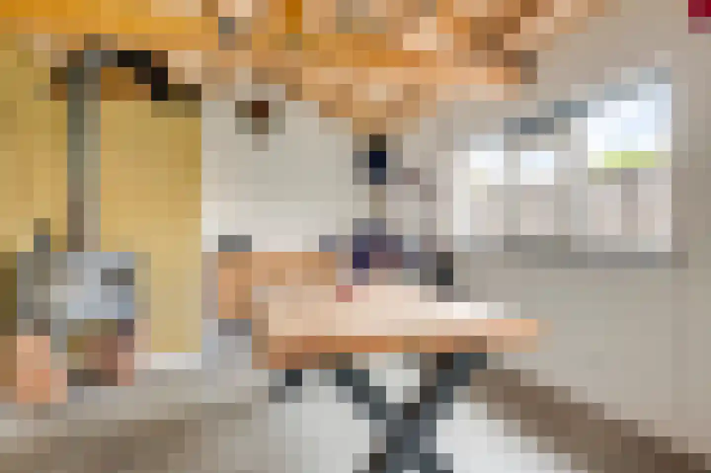 Puttenstraat 7 Maarheeze thumbnail 35