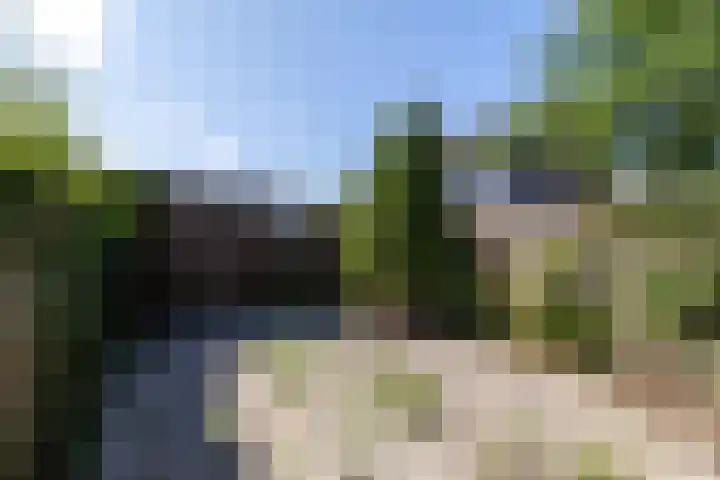 Putter 10 Etten-Leur thumbnail 26